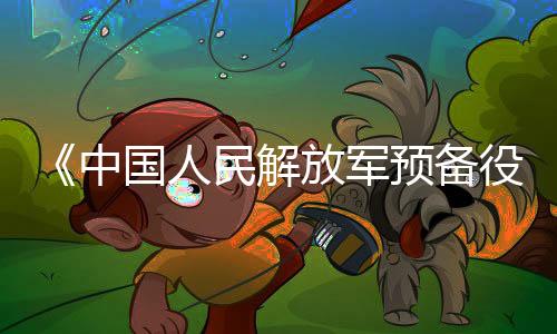 《中國人民解放軍預(yù)備役人員證》制發(fā)啟用