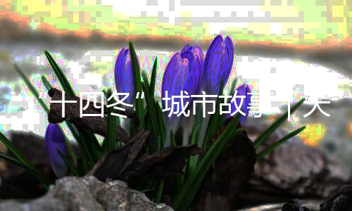 “十四冬”城市故事｜天天都有那達(dá)慕，這里是陳巴爾虎旗