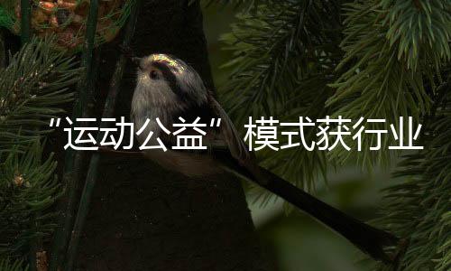 “運動公益”模式獲行業(yè)認可，Keep榮獲第十三屆公益節(jié)兩大獎項