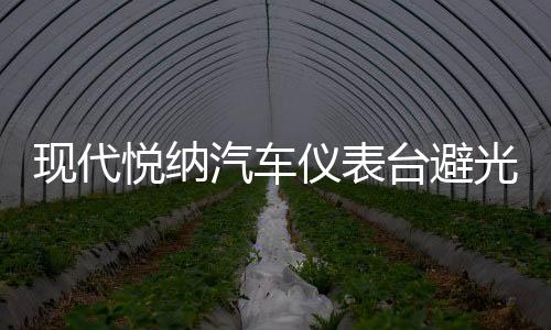 現(xiàn)代悅納汽車儀表臺(tái)避光墊中控工作盤防曬遮陽防滑墊改裝用品配件