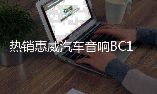 熱銷惠威汽車音響B(tài)C10.0-V無源低音炮喇叭不帶功放車載改裝