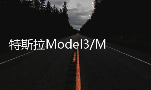 特斯拉Model3/ModelY/X原裝啟動(dòng)電瓶12V33Ah原廠輔助蓄電池ModelS