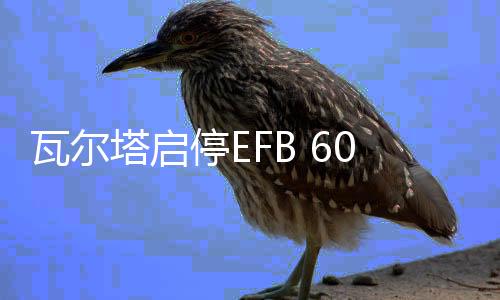 瓦爾塔啟停EFB 60AH蓄電池本田十代思域XR-V繽智雅閣原裝汽車電瓶