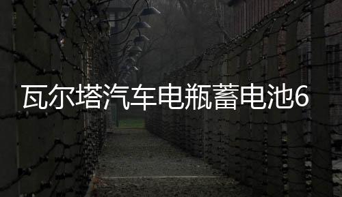 瓦爾塔汽車電瓶蓄電池65D23L適配斯巴力獅傲虎三菱戈藍(lán)吉普指南