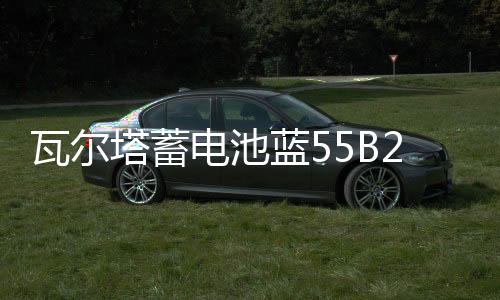 瓦爾塔蓄電池藍55B24R適配威志威姿森雅熊貓奇瑞Q3汽車電瓶 藍標(biāo)