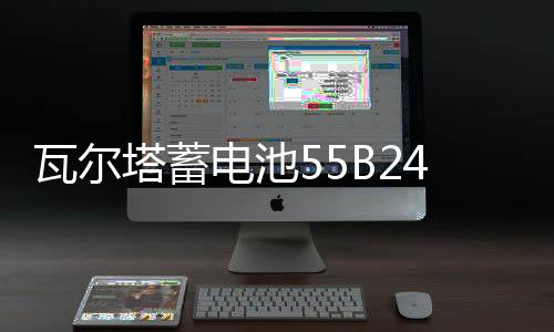 瓦爾塔蓄電池55B24L適配軒逸驪威騏達(dá)新陽(yáng)光鋒范1.8汽車電瓶 藍(lán)標(biāo)