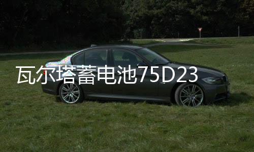 瓦爾塔蓄電池75D23L/65AH/550A/奇駿天籟/翼神雅閣森林人汽車電瓶