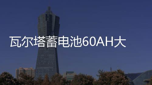 瓦爾塔蓄電池60AH大眾朗逸速騰捷達(dá)途觀夏朗POLO邁騰原裝汽車電瓶