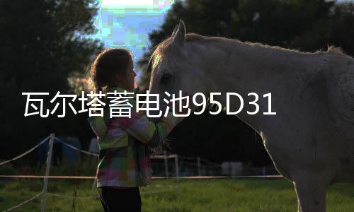 瓦爾塔蓄電池95D31L適配豐田陸地巡洋艦坦途雷克薩斯風(fēng)駿汽車電瓶