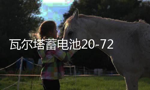 瓦爾塔蓄電池20-72適配寶馬X1標(biāo)致508全順途觀邁騰帕薩特汽車電瓶