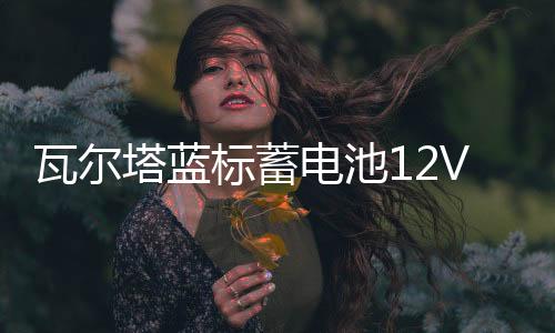 瓦爾塔藍標蓄電池12V60ah適配大眾朗逸寶來捷達POLO速騰L2400電瓶