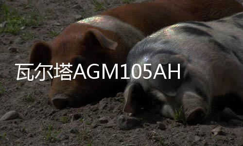 瓦爾塔AGM105AH啟停蓄電池奧迪A6L/A7/A8L/寶馬5系7系/X5汽車(chē)電瓶