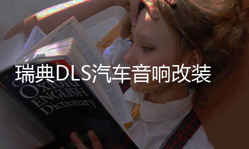 瑞典DLS汽車音響改裝6.5寸套裝喇叭進(jìn)口發(fā)燒炸街低音喇叭功放主推