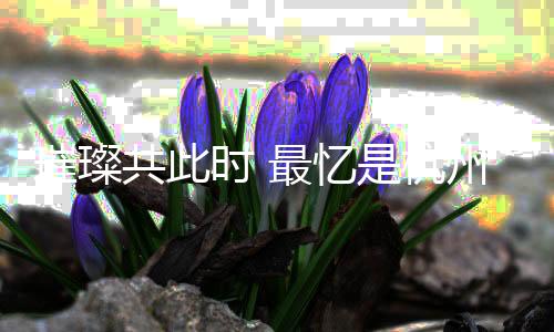 璀璨共此時 最憶是杭州——杭州亞運會閉幕式側記