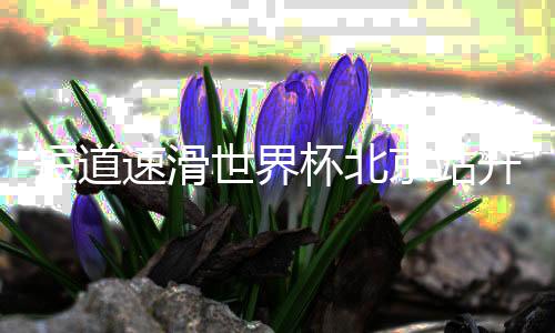 短道速滑世界杯北京站開賽在即 中國隊(duì)全力備戰(zhàn)