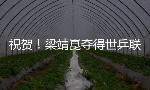 祝賀！梁靖崑奪得世乒聯(lián)冠軍賽韓國(guó)站男單冠軍