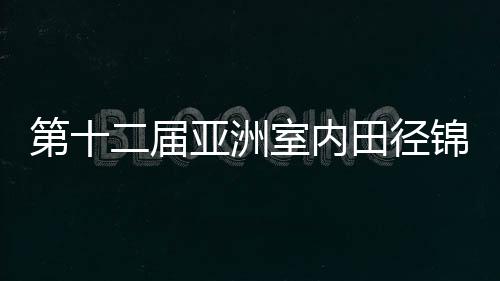 第十二屆亞洲室內(nèi)田徑錦標賽收官 中國隊10金領跑獎牌榜