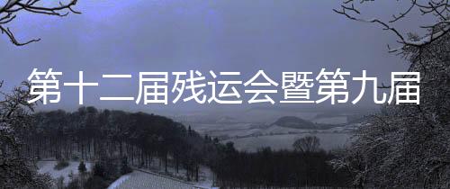 第十二屆殘運會暨第九屆特奧會羽毛球（大眾）比賽落幕 寧夏隊攬4金