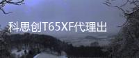 科思創(chuàng)T65XF代理出售PC/ABS上?？扑紕?chuàng)T65XF