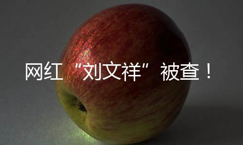 網(wǎng)紅“劉文祥”被查！
