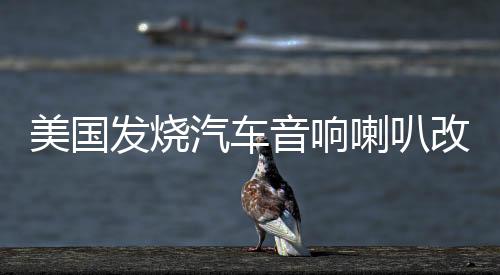 美國(guó)發(fā)燒汽車音響喇叭改裝6.5寸套裝車載音響重低音炮無損揚(yáng)聲器