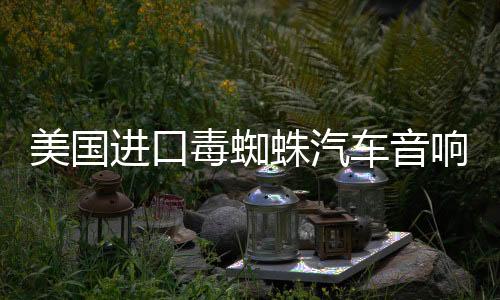 美國(guó)進(jìn)口毒蜘蛛汽車音響改裝套裝飛度6.5寸套裝喇叭四門高低音DSP