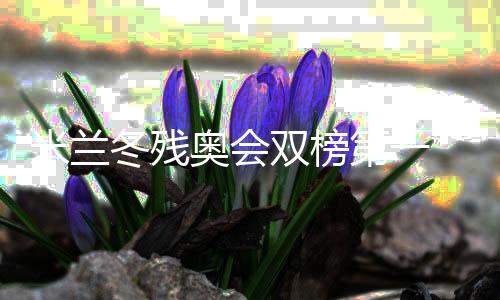 米蘭冬殘奧會(huì)雙榜第一 中國(guó)殘奧冰雪運(yùn)動(dòng)書(shū)寫(xiě)新章