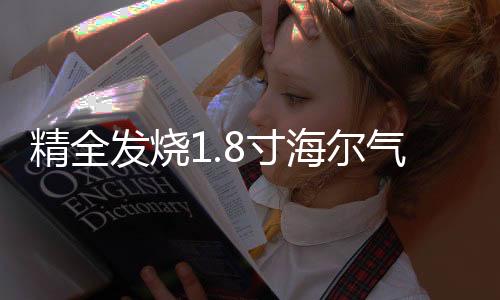精全發(fā)燒1.8寸海爾氣動式超帶式喇叭單元 汽車高音頭AMT-47