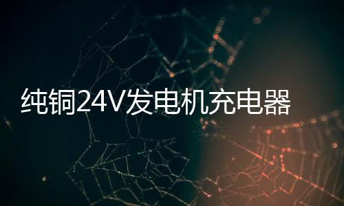 純銅24V發(fā)電機(jī)充電器12V叉車貨車通用大功率蓄電池電瓶汽車充電器
