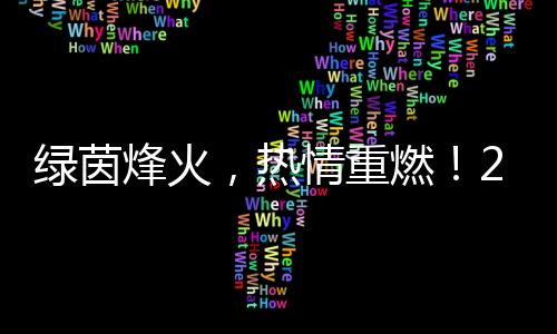 綠茵烽火，熱情重燃！2024中國網絡媒體足球精英賽開幕