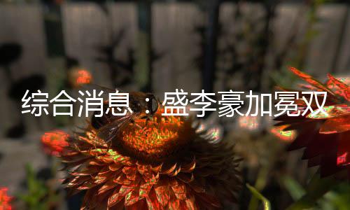 綜合消息：盛李豪加冕雙冠王 中國5金暫居金牌榜第三