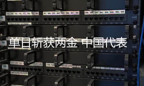 單日斬獲兩金 中國(guó)代表團(tuán)創(chuàng)冬殘奧會(huì)境外參賽最佳成績(jī)