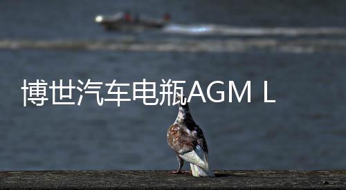 博世汽車電瓶AGM LN6適配奧迪Q7A4A6寶馬7系X5X6啟停免維護(hù)蓄電池