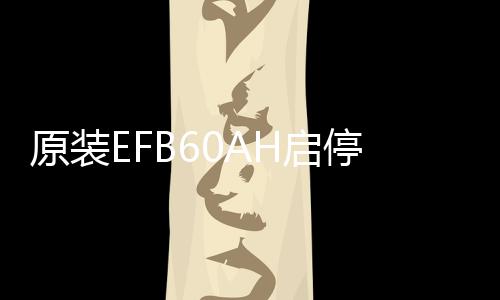 原裝EFB60AH啟停電瓶適配傳祺GS4/GA6長(zhǎng)城哈佛H6/H2/M6汽車(chē)蓄電池