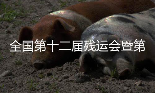全國第十二屆殘運會暨第九屆特奧會射箭比賽在深開弓