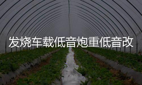 發(fā)燒車載低音炮重低音改裝超薄座位下有源帶功放藍(lán)牙專用音響12v