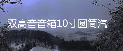 雙高音音箱10寸圓筒汽車(chē)低音炮車(chē)載重低音炮有源家庭音響12/220V