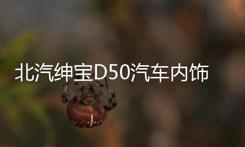 北汽紳寶D50汽車內(nèi)飾改裝中控專用配件裝飾儀表臺(tái)盤防曬避光墊