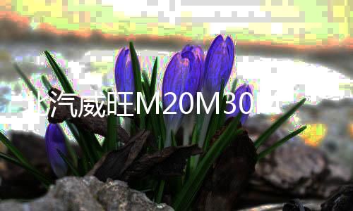 北汽威旺M20M30M35汽車前門后門同軸音響喇叭改裝6.5寸套裝重低音