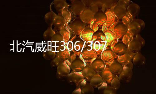 北汽威旺306/307滑輪中側(cè)門(mén)上中下合頁(yè)鉸鏈導(dǎo)輪走輪汽車(chē)滑輪配件