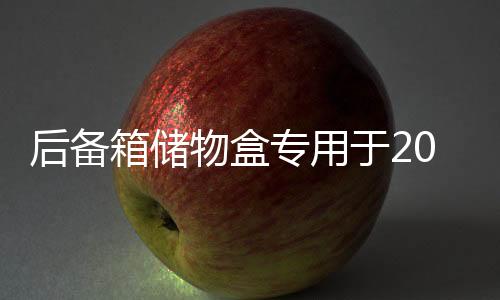 后備箱儲物盒專用于2021款19新樓蘭收納箱改裝汽車收納箱裝飾配件