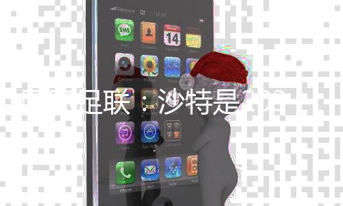 國際足聯(lián)：沙特是2034年足球世界杯唯一申辦方