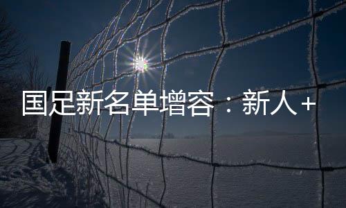 國足新名單增容：新人+歸化 31人入選“伊萬一期”