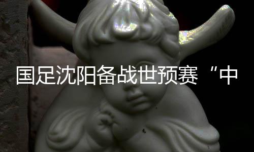 國(guó)足沈陽(yáng)備戰(zhàn)世預(yù)賽“中泰之戰(zhàn)” 伊帥:傷病不是前進(jìn)路上的“絆腳石”