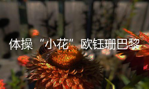 體操“小花”歐鈺珊巴黎留憾 母親：她從沒(méi)打過(guò)退堂鼓