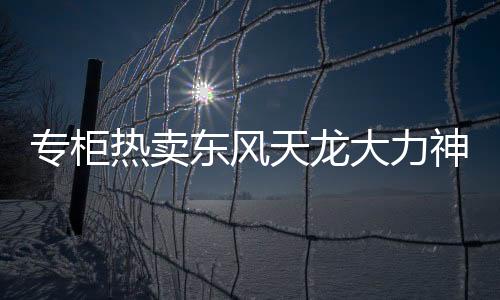 專柜熱賣東風(fēng)天龍大力神天錦汽車貨車駕駛室座椅彈簧海綿坐墊總成