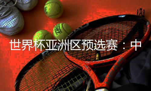 世界杯亞洲區(qū)預(yù)選賽：中國(guó)隊(duì)與新加坡隊(duì)舉行賽前新聞發(fā)布會(huì)