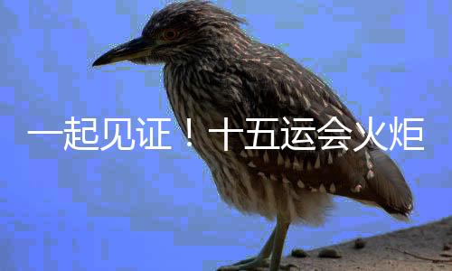 一起見證！十五運(yùn)會(huì)火炬?zhèn)鬟f啟動(dòng)儀式在深圳舉行