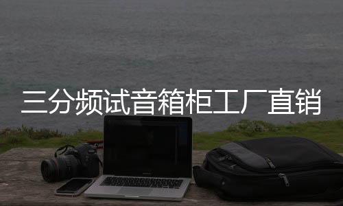 三分頻試音箱柜工廠直銷汽車音響改裝店音響箱柜組合低音炮箱包郵