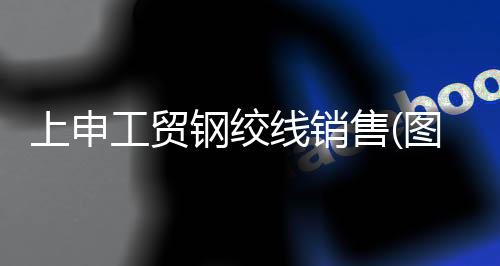 誠(chéng)***路照明有限公司